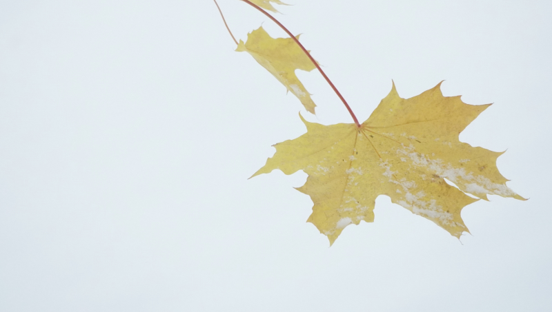 Klubbmøte ble avholdt 10.november