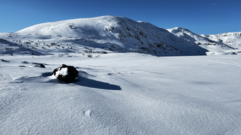 Neste medlemsmøte blir TORSDAG 26.mars